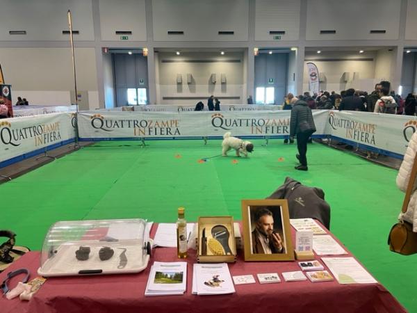 QUATTROZAMPEINFIERA